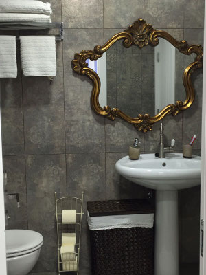 shower Bathroom
