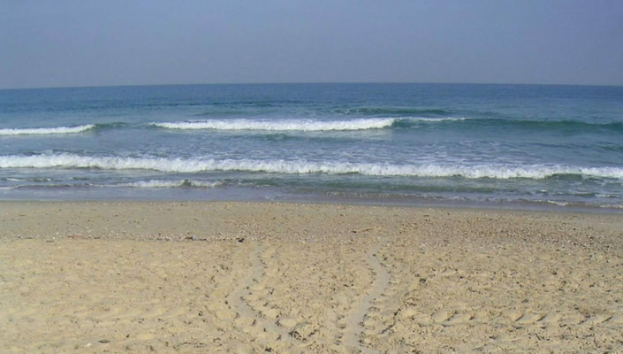 plage à proximité