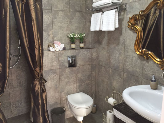 shower Bathroom