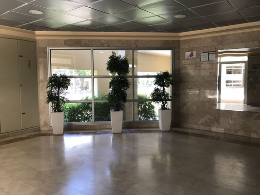 Hall