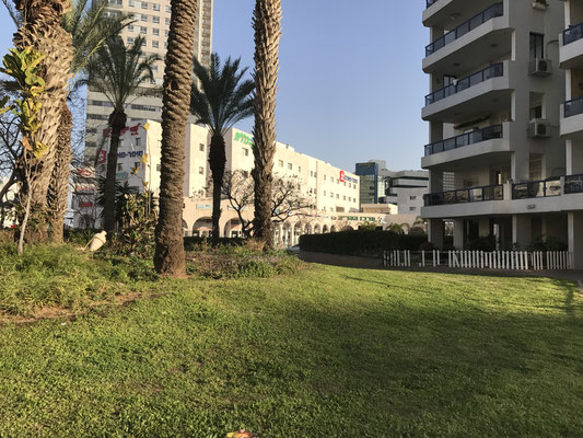 close to all shops