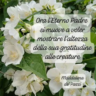 Revelationi e Intelligentie n. 10