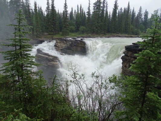 Athabasca Falls