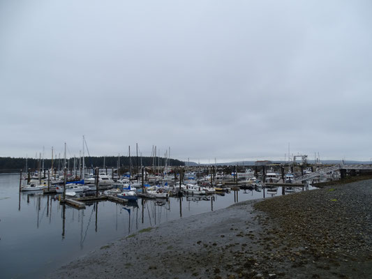 Hafen Port McNeill