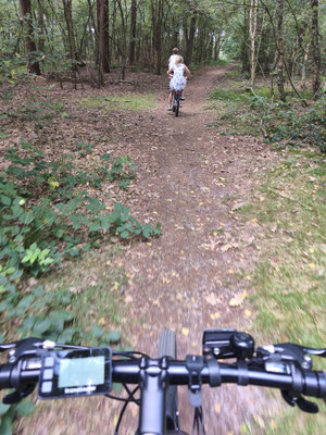 Unterwegs im Wald