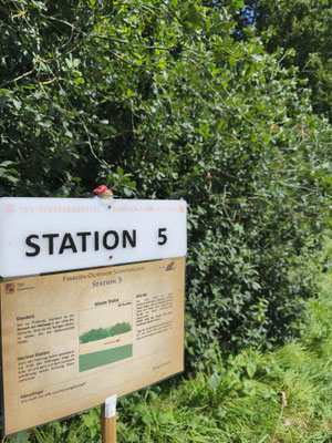 Station 05