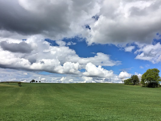 Ammeldingen im Mai 2017 