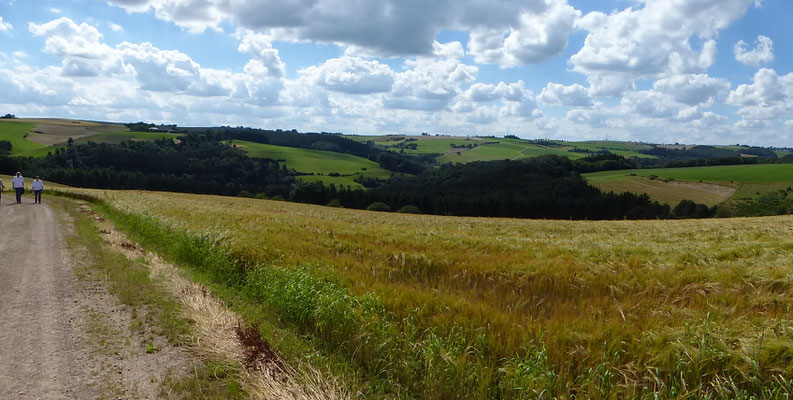 Landschaft bei Ammeldingen