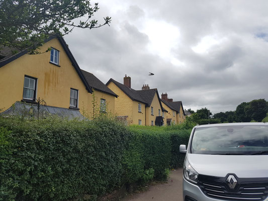 Sash window cleaning Broadclyst