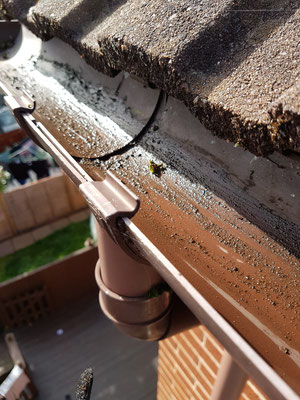 Incorrectly fitted guttering. A quick fix for this customer