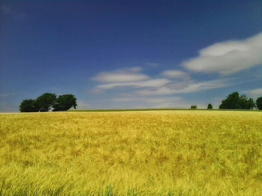 Sinsheimer Umland