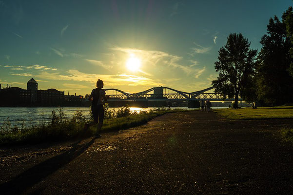 Abendliche Szene, Mannheimer Rheinpromenade