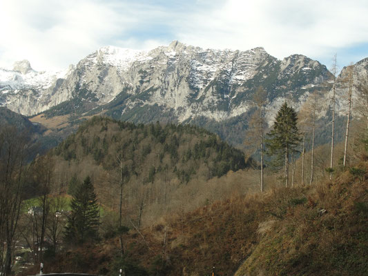 Dietmar Scherberich