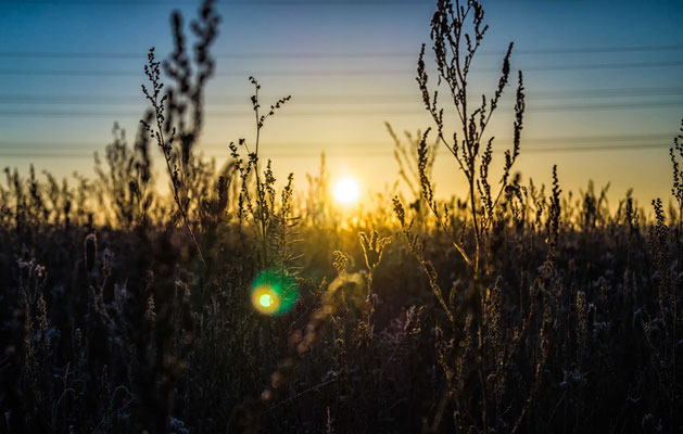 Irgendwo im winterlichen Feld