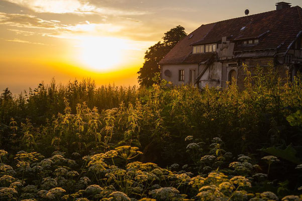 Sozusagen ein Lost Place mitten auf dem Königstuhl