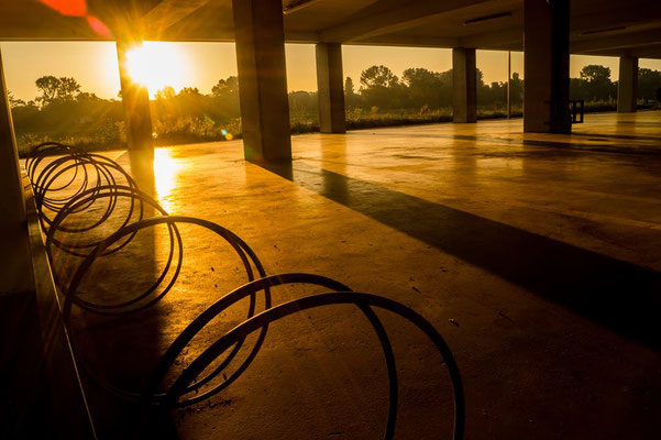 Parkebene in praller Morgensonne
