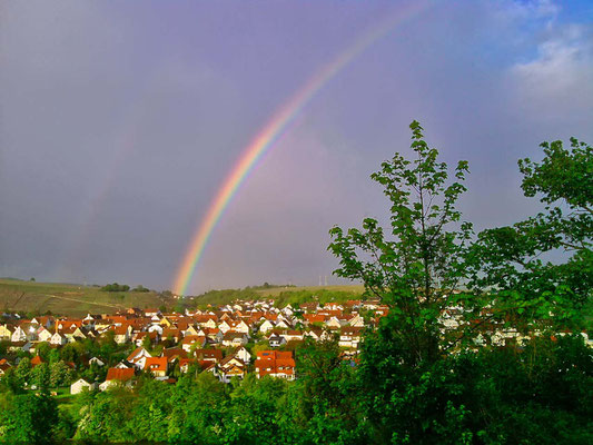 Regenbogen über Neckargemünd