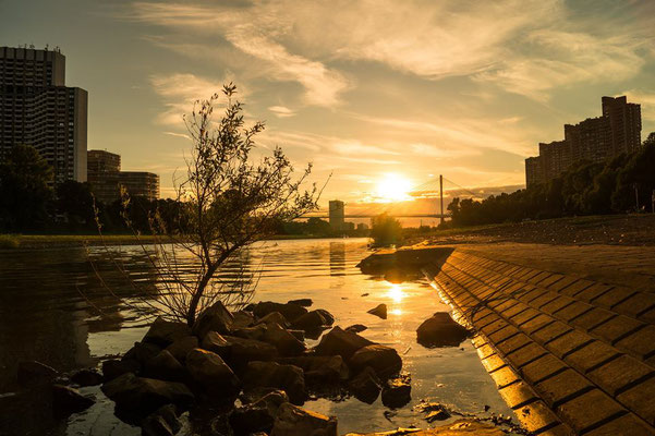 Abends an der Neckarpromenade
