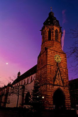 Stiftskirche Landau