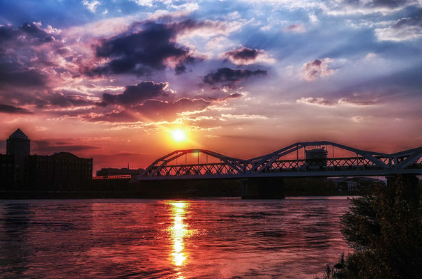Blutrote Bearbeitung des Rheins mit der Konrad-Adenauer-Brücke
