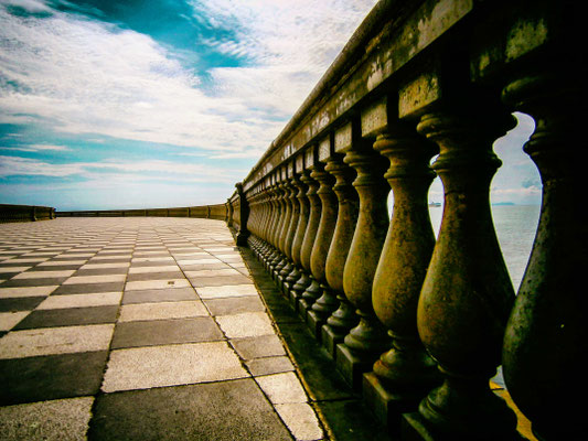 Promenadenmischung
