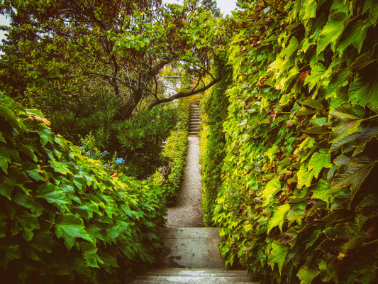 Hintergarten