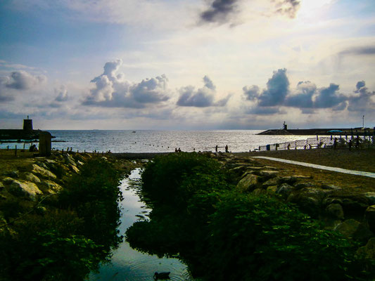 Recco Strand