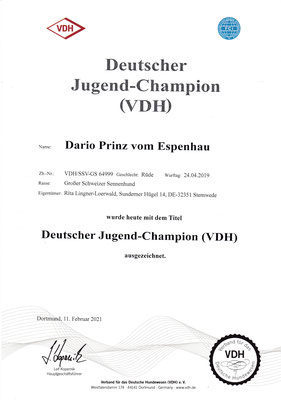 Jugendchampion VDH