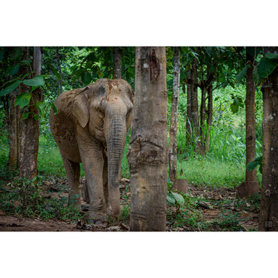 Walter Schwab | Fotografie @ Laos