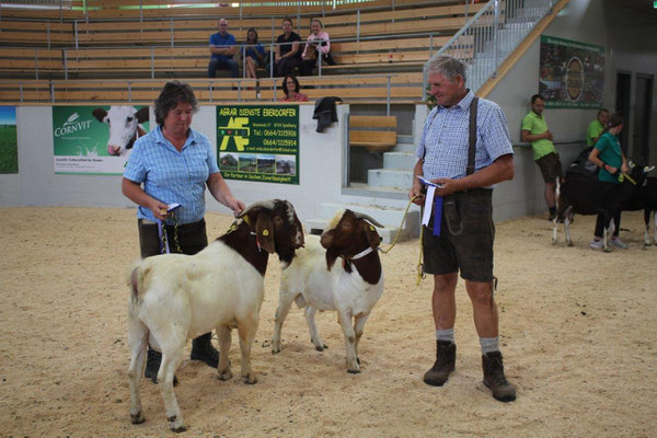 Ziegenausstellung in Traboch 