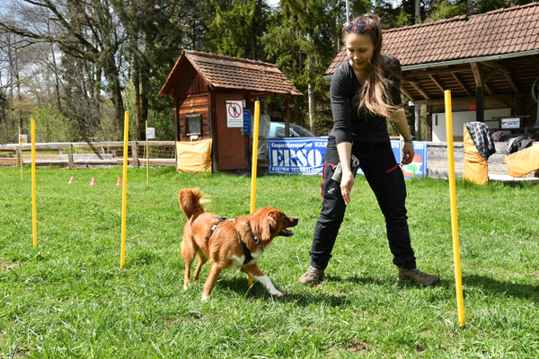 markerwort-bindung-training-wachhund-oepi