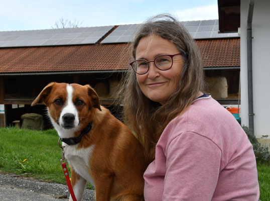zuechterbesuch-n-jahren-oesterreichischerpinscher-zuchthund