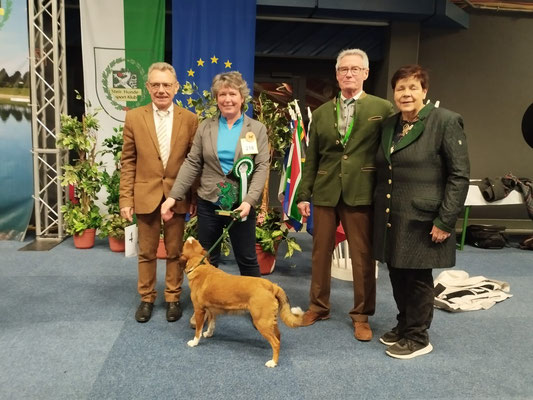 Best in Show - Österreichische Rassen - 1.Platz  -  Samstag 2.März 2024