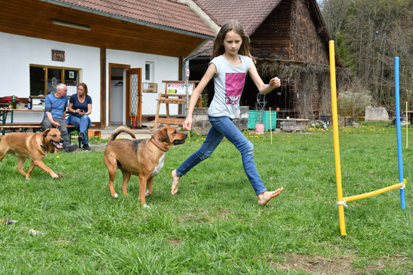 laufen-clickertraining