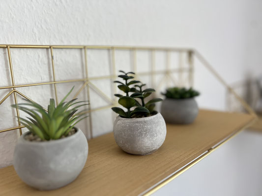 Dekoratives Wandregal in der Ferienwohnung „Auszeit Bergliebe“ mit drei kleinen Sukkulenten in Betontöpfen. Die stilvolle Kombination aus Natur und Minimalismus verleiht dem Raum eine moderne und zugleich gemütliche Note.
