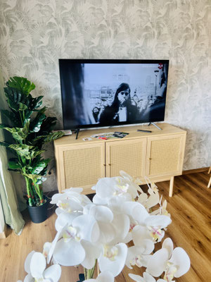 Fernsehecke der Ferienwohnung „Auszeit Niedersfeld“ mit stilvollem Sideboard, großem Flachbild-TV und dekorativen Pflanzen. Die florale Tapete und die Orchidee im Vordergrund verleihen dem Raum eine gemütliche und elegante Atmosphäre.