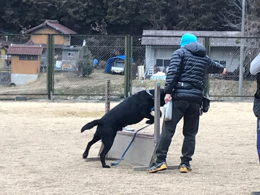 くるみとお父さんペア！