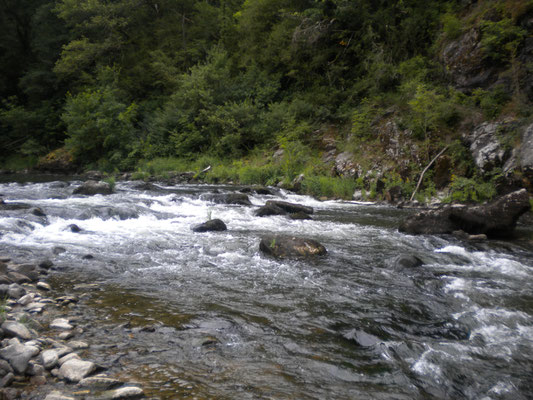 La rivière Lot