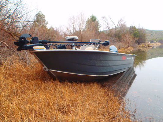 Bass boat Smartliner 50cv