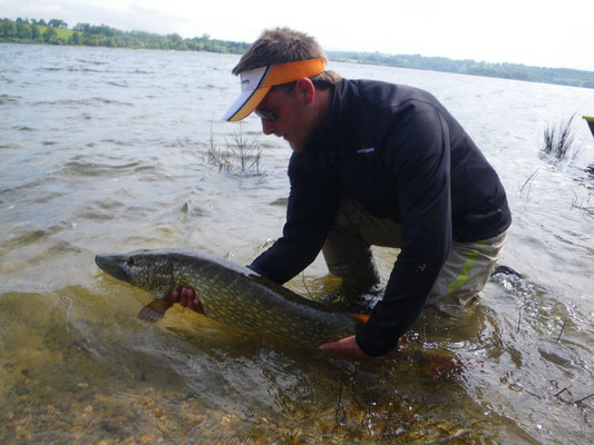 Brochet métré de Pareloup