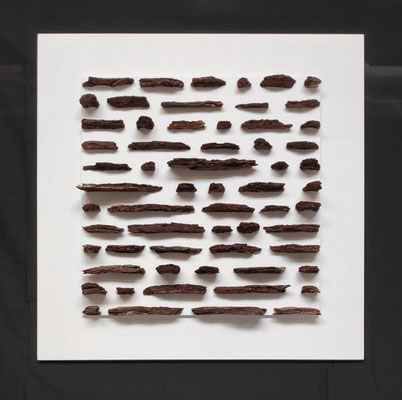 Bark, study of forms, 80 x 80, mdf en schors