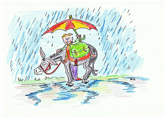 Es kommt ein heftiges Gewitter auf und dein Esel soll nicht nass werden. Du wartest mit ihm geschützt unter einem Regenschirm und darfst erst weiter gehen, wenn du eine 1, 3 oder 5 gewürfelt hast. 