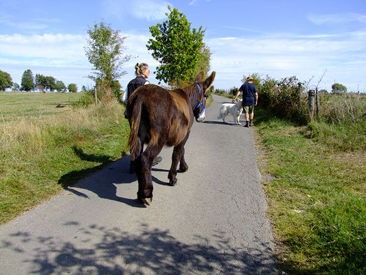 Spaziergang