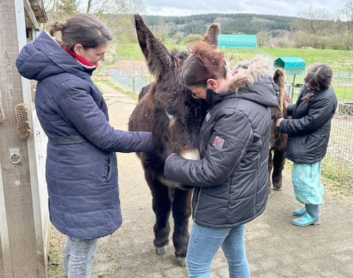 Anja hatte anfangs großen Respekt vor diesem Riesen, doch schnell hat Léon sie um den Finger gewickelt.