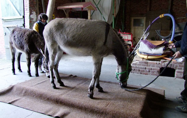 Bei einem Training vor Ort in Niedersachsen - April 2019