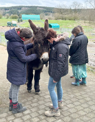 Léon hat die Herzen erobert