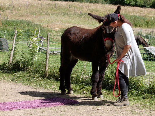 Und wird dolle von mir gelobt