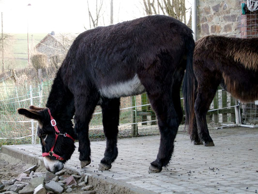 "Huch, wie riecht es denn hier?"