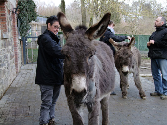 Zuerst wurden unsere Tiere verwöhnt - hier sieht man schön, wie sich Ephraims kahle Hautpilzstellen wieder erholen.