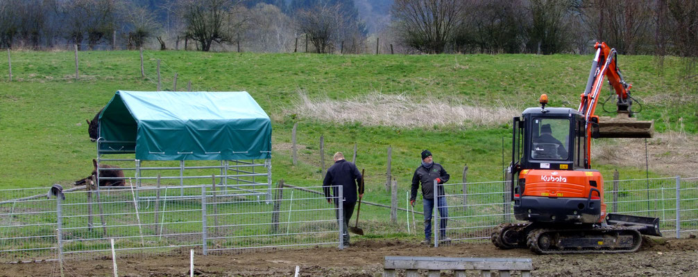 Wir denken, dass die entstandene "Mondlandschaft" sich in den nächsten Wochen wieder durch das Hufgetrappel glättet.